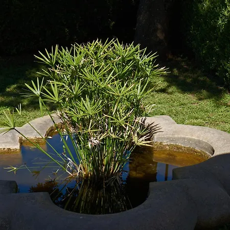 Feriehus La Casa Dei Merli