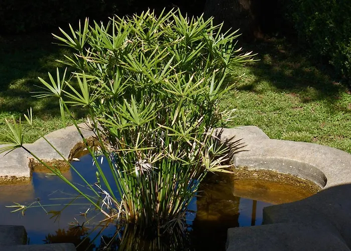 Casa vacanze La Casa Dei Merli