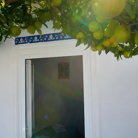 La Casa Dei Merli Semesterbostad *